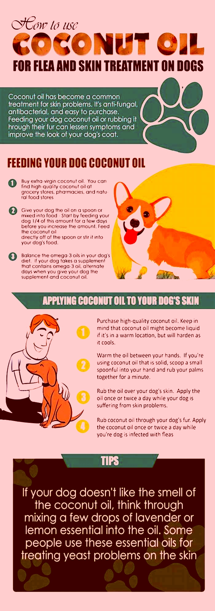 Can I give my dog coconut oil every day for fleas?