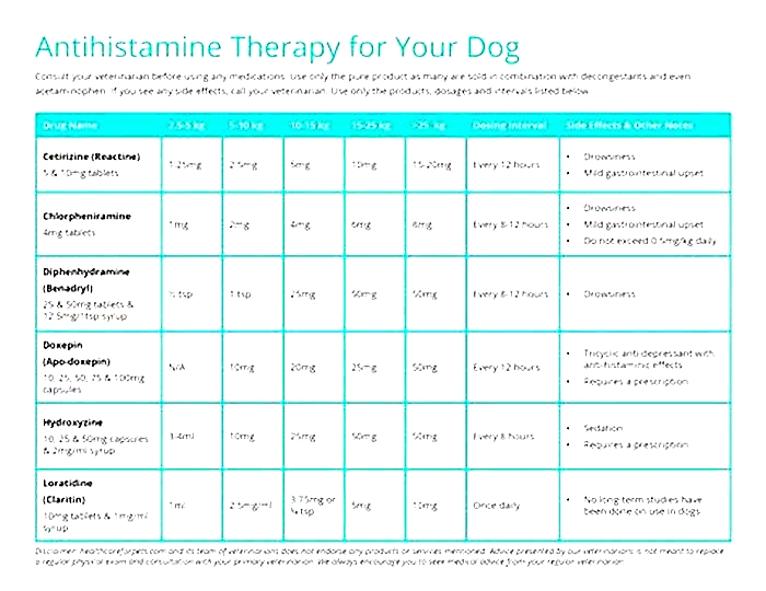 Can I give my dog human antihistamine tablets?