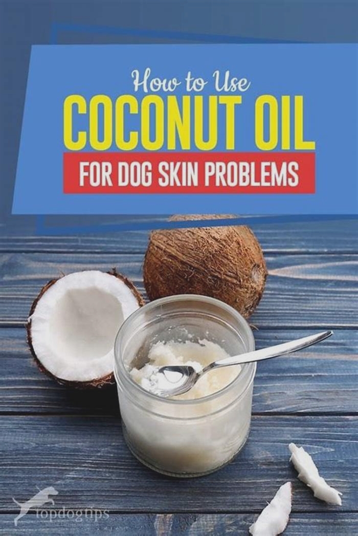 Can I put coconut oil on my dog for allergies?