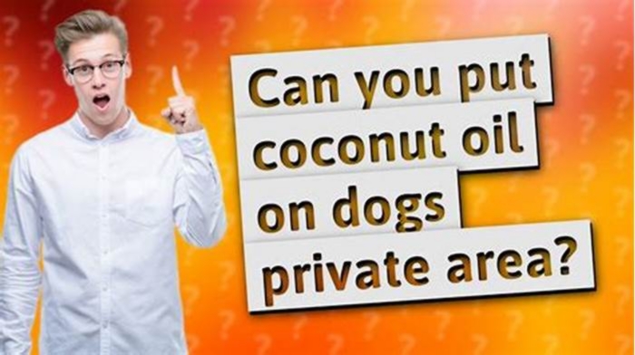 Can I put coconut oil on my dog private area