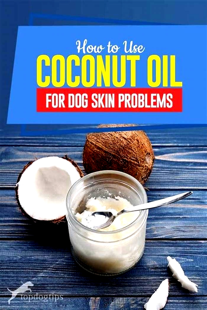 Can I put coconut oil on my dog s dry skin