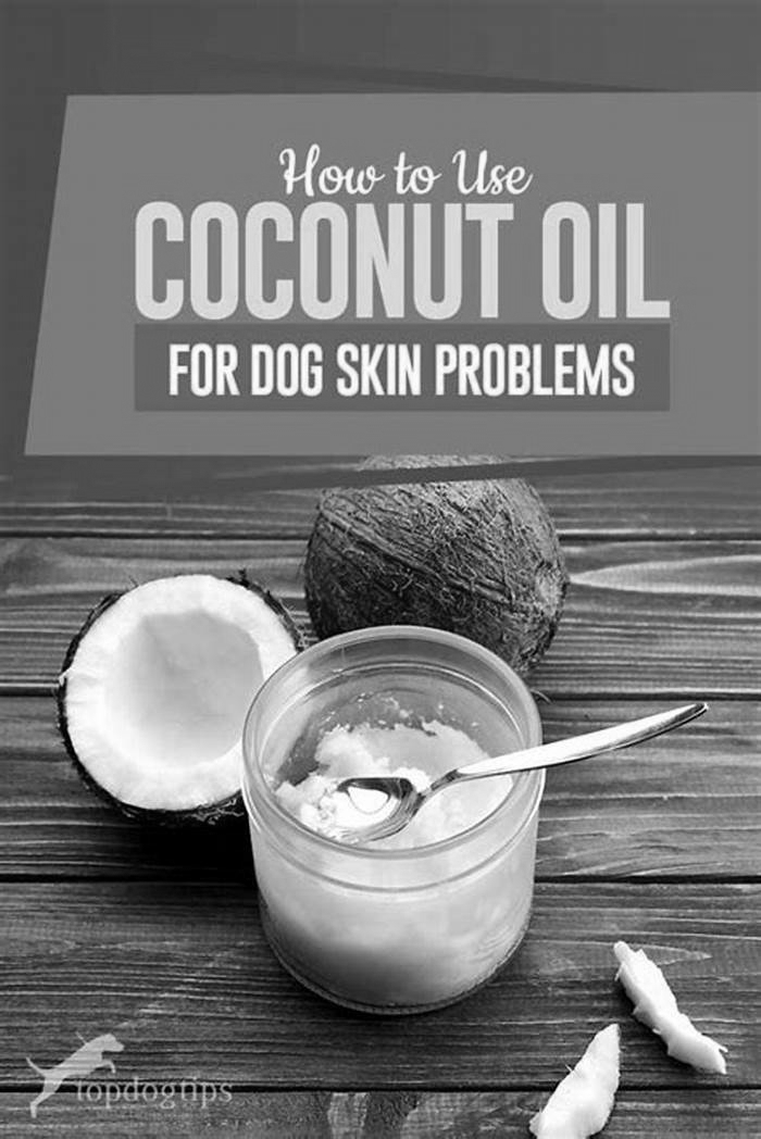 Can I put coconut oil on my dogs rash