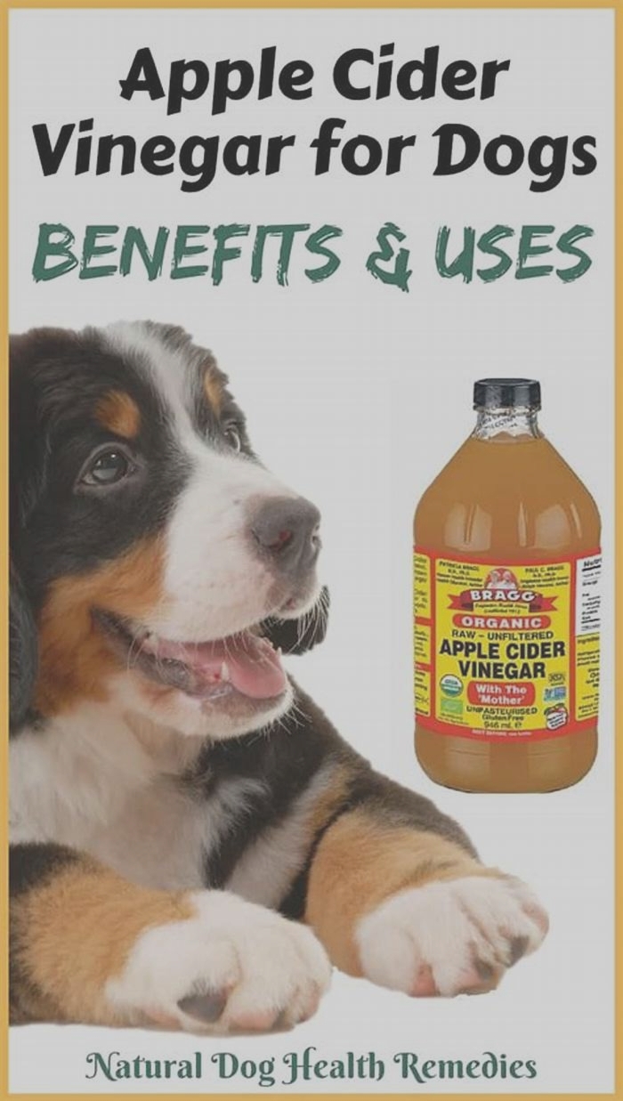 Can I soak my dog's paws in apple cider vinegar for yeast infection?