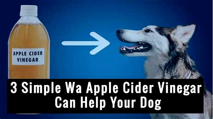 Can I spray apple cider vinegar on my dog's skin?