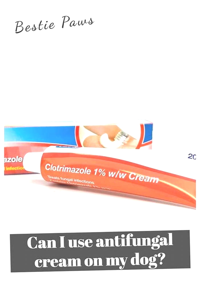 Can I use human antifungal cream on my dog?