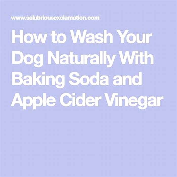 Can I wash my dog with vinegar and baking soda