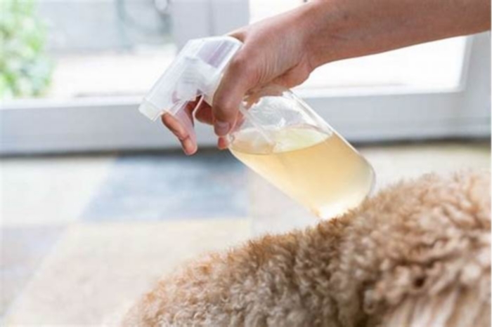 Can hard water make dogs itchy?