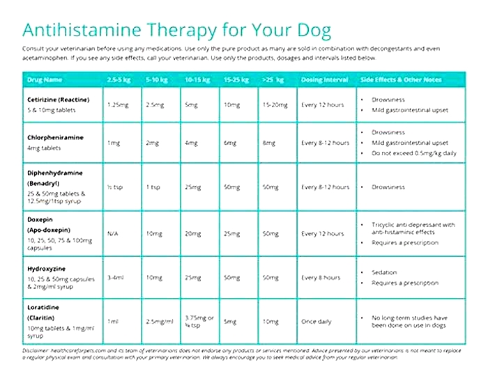 Can you give dogs antihistamines for itching