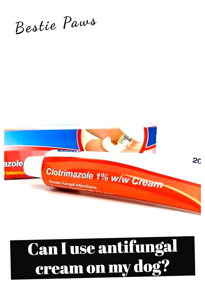 Can you use human antifungal cream on dogs?