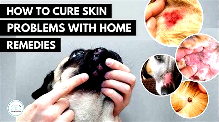 Can you wash a dog with a skin infection?