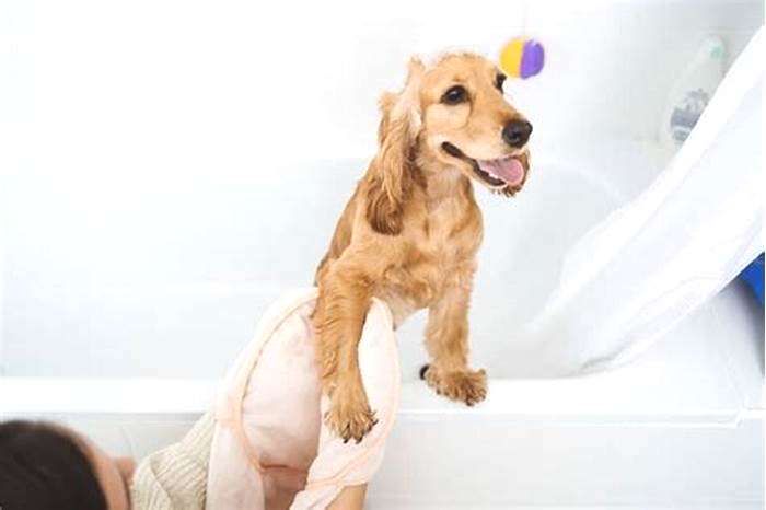 Do baths help dogs with itching?