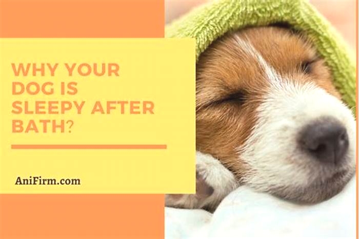 Do dogs get tired after a bath?