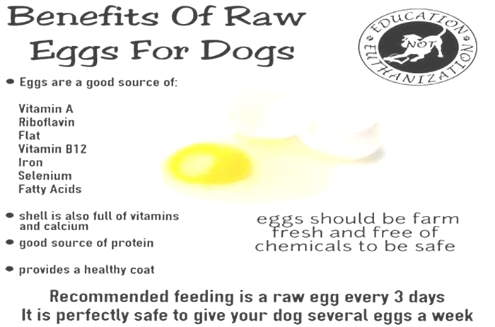 Do dogs prefer raw or cooked eggs