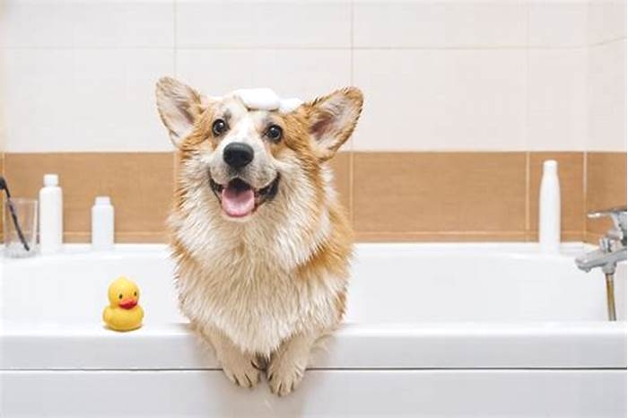 Do most dogs hate baths