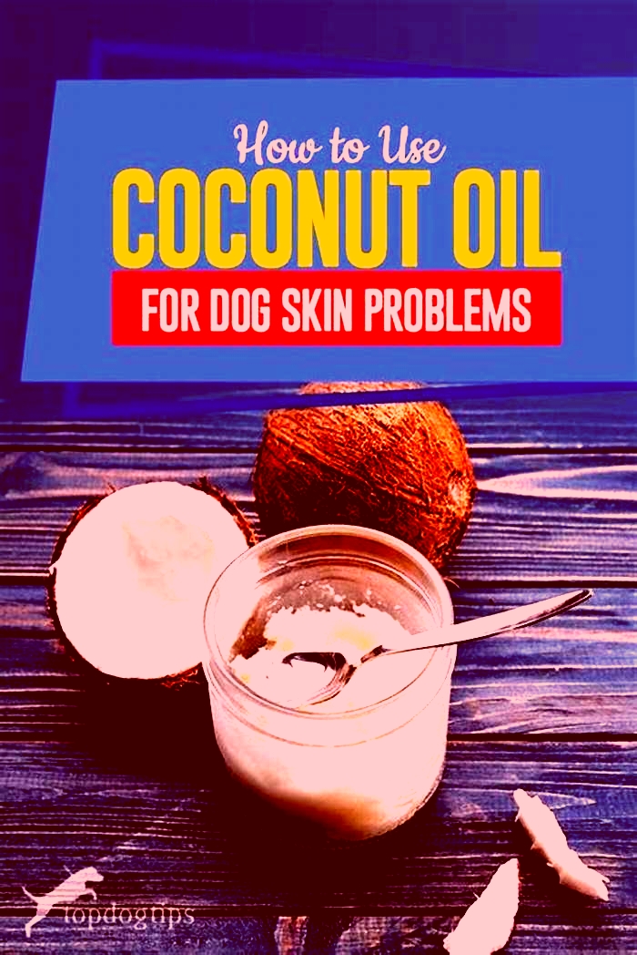 Does coconut oil help dog allergies