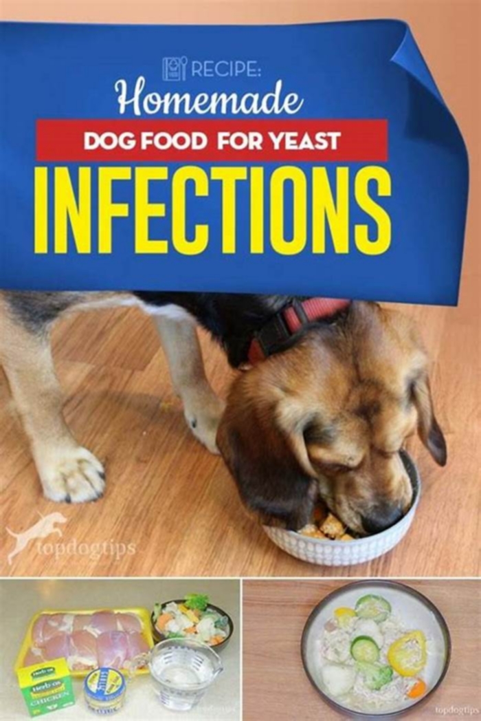 How can I reduce my dogs yeast naturally