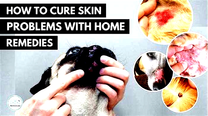 How do you clean a dog s skin infection