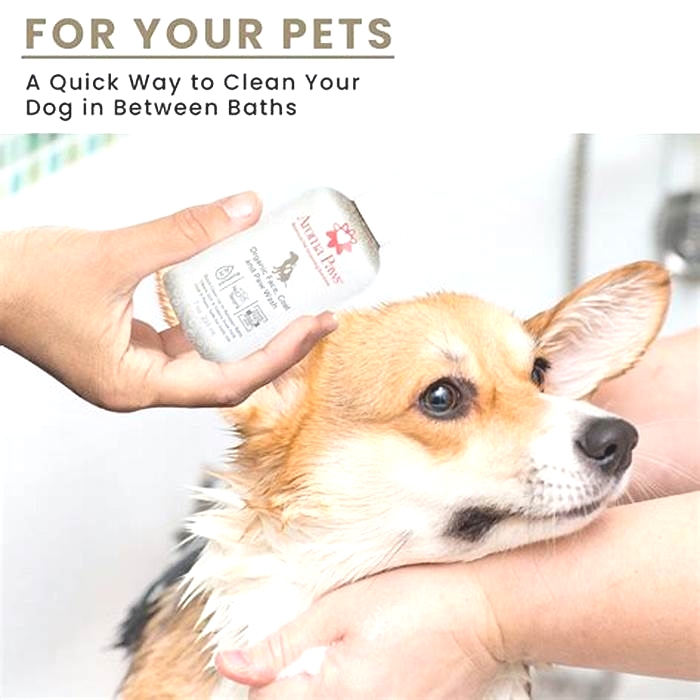 How do you disinfect a dog's skin?