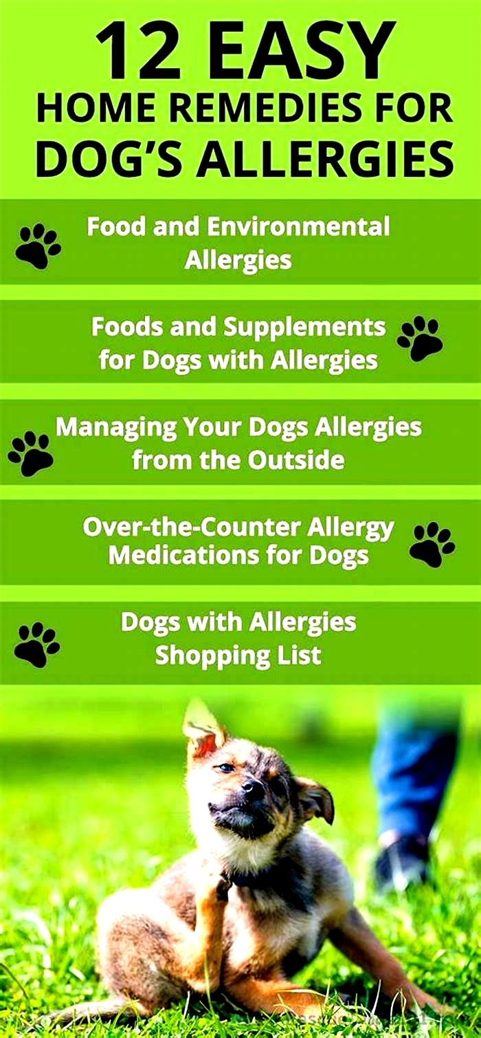 How do you get rid of dog fur allergies?