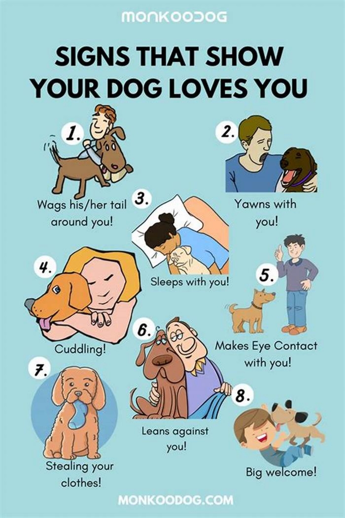 How do you tell if a dog loves you