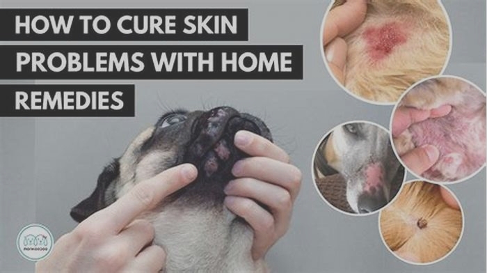 How do you treat a bacterial skin infection in a dog