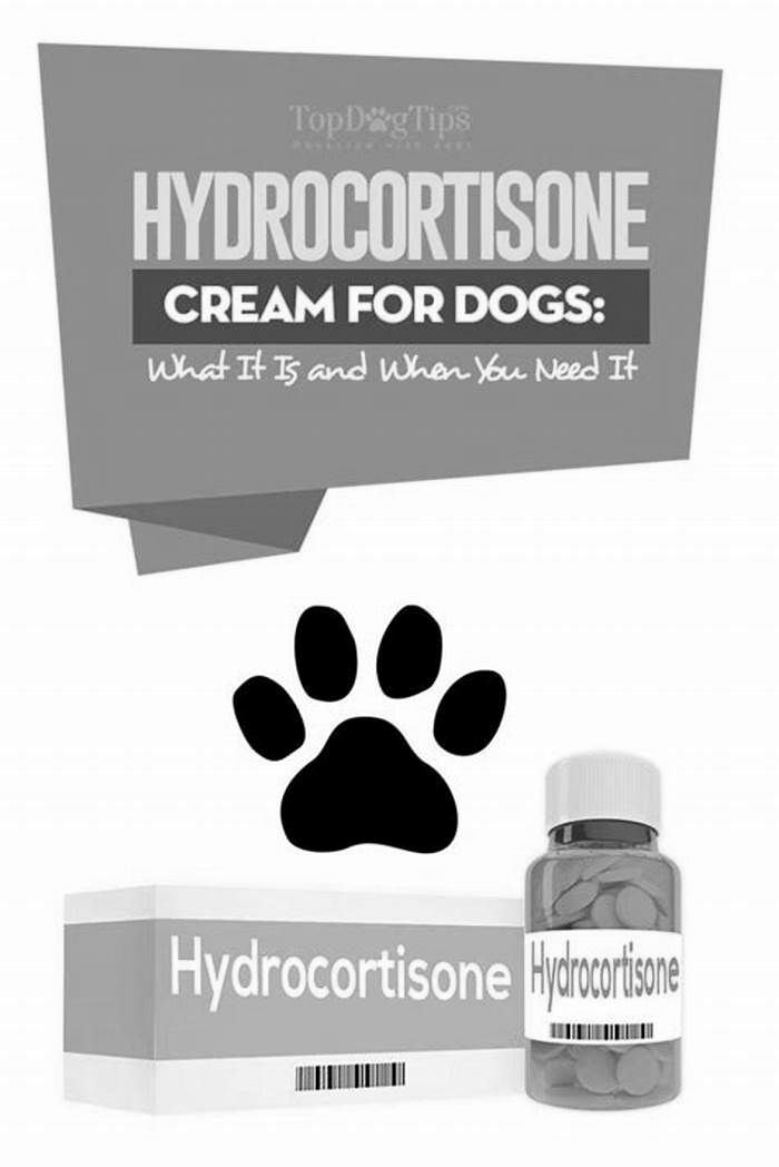 How many times a day can I put hydrocortisone on my dog?