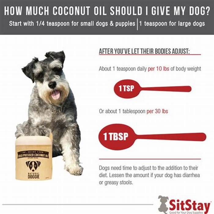 How much coconut oil can I give my dog