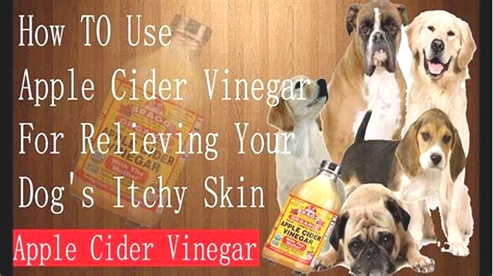 How often should I apply apple cider vinegar to my dogs skin