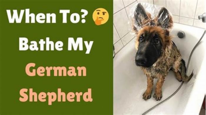 How often should I bathe a German shepherd