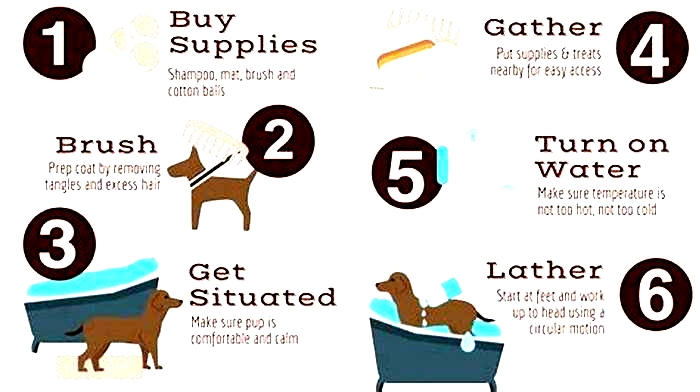 How often should a dog bathe