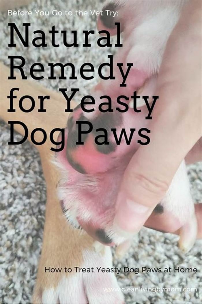 How to clear up yeast in dog's paws?