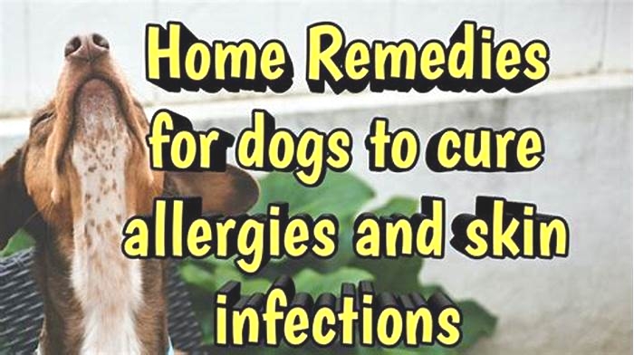 How to treat dog skin infection naturally?