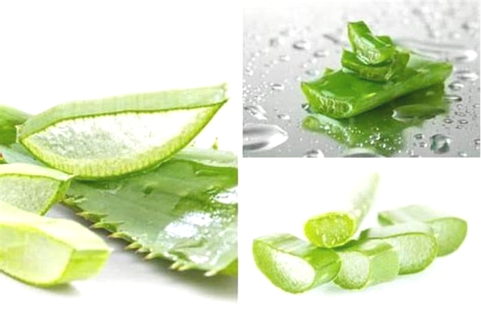 Is aloe vera gel good for seborrheic dermatitis?