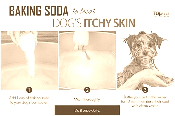 Is baking soda good for dog's itchy skin?