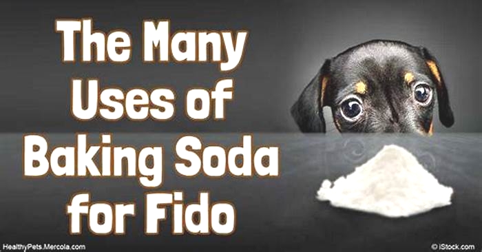 Is baking soda safe for dogs