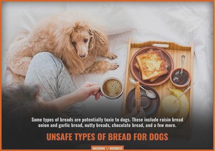 Is bread bad for dogs?