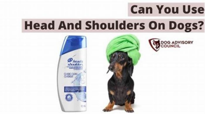 Is head and shoulders good for dogs with seborrhea