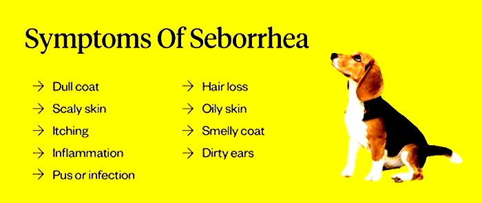 Is seborrhea painful for dogs