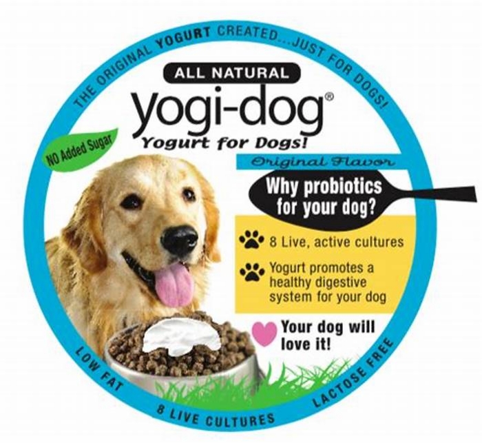 Is yogurt good for dogs itchy skin?