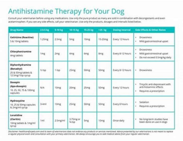 What antihistamine is best for dogs?