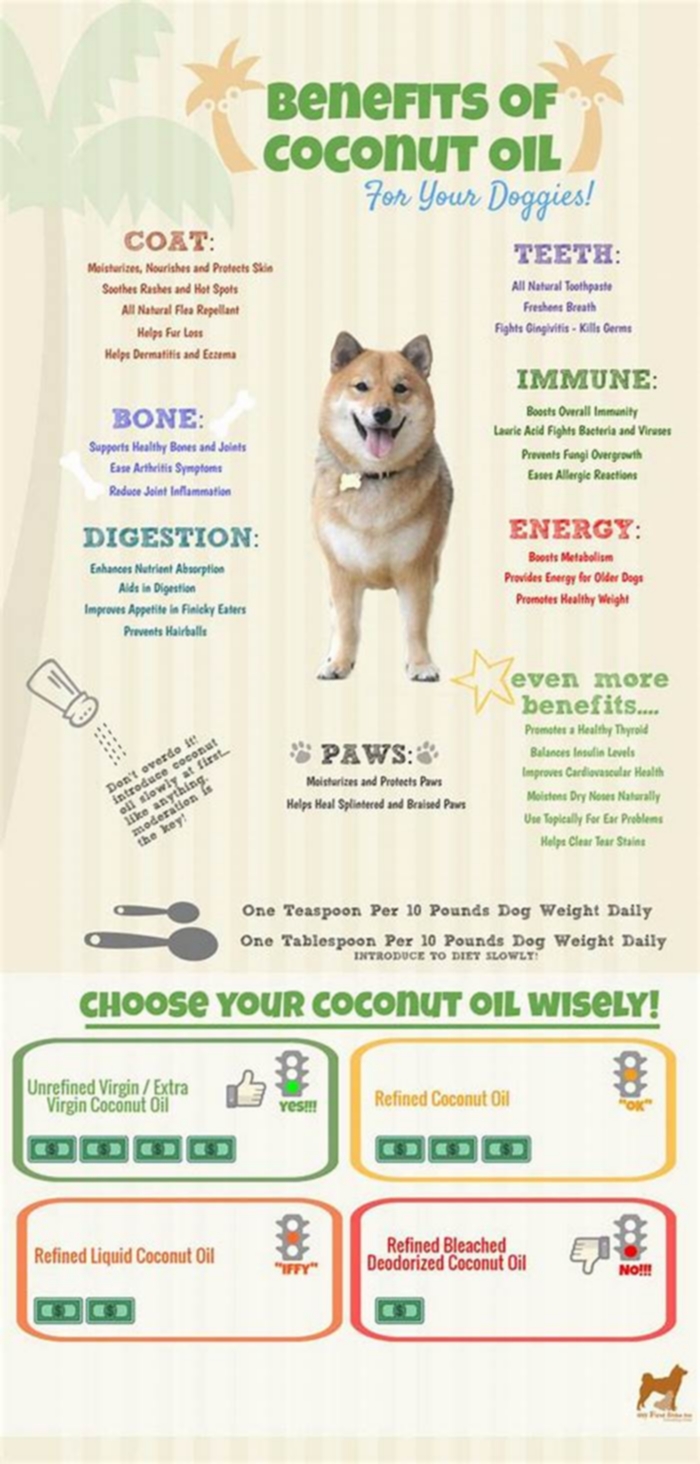 What are the benefits of coconut oil for dogs?