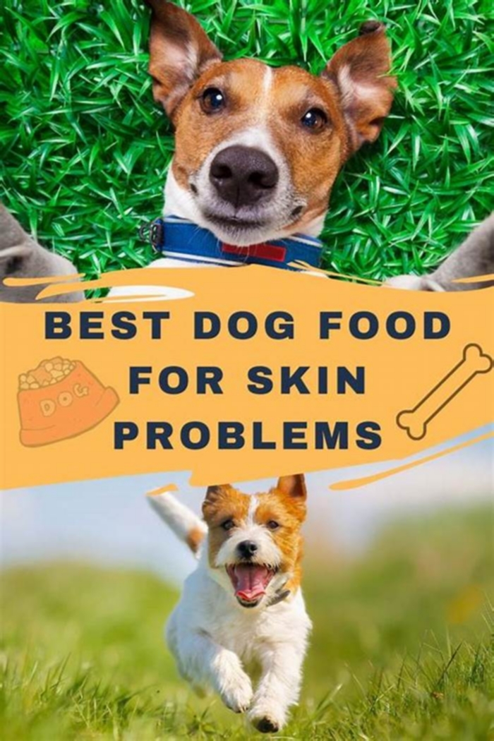 What can I feed my dog with skin problems