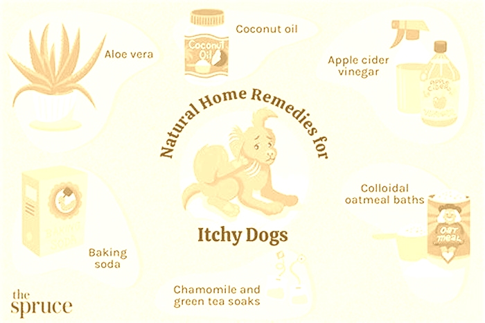 What diet helps dogs itchy skin?