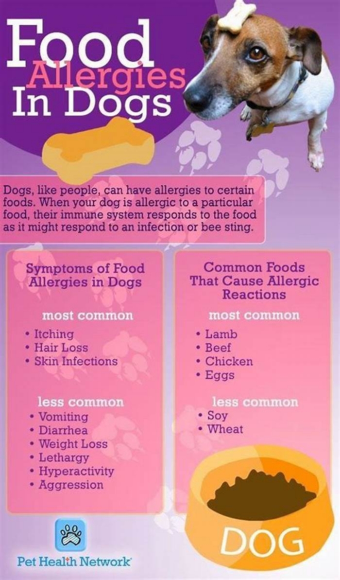 What food can I give my dog with skin allergies?