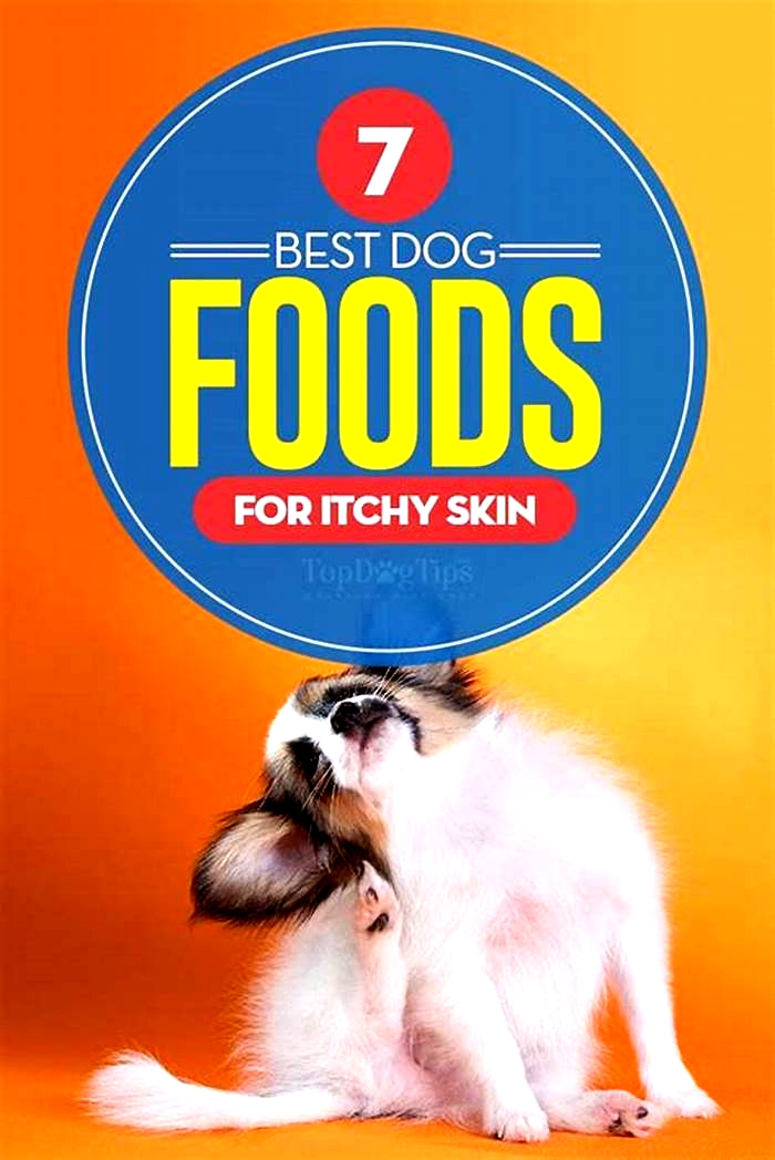 What foods make dogs itchy