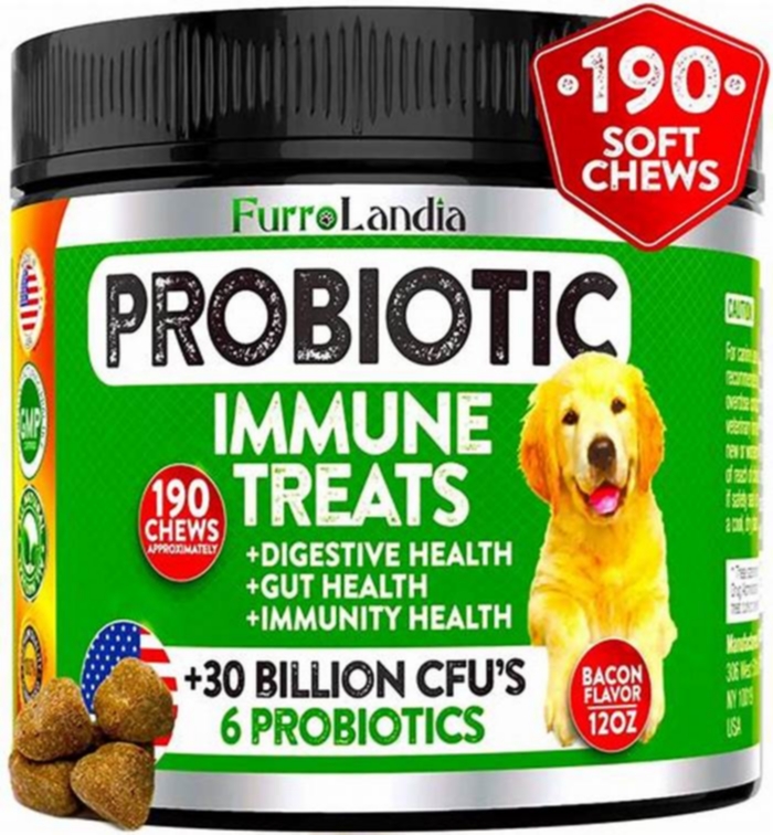 What is a natural probiotic for a dog