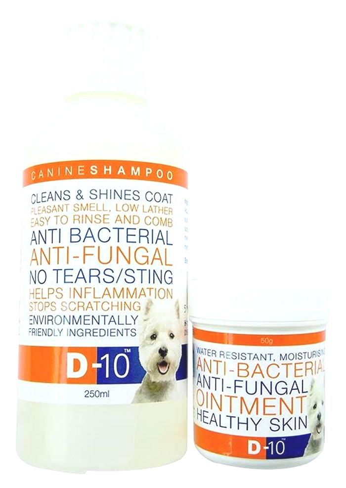 What is an at home antifungal treatment for dogs