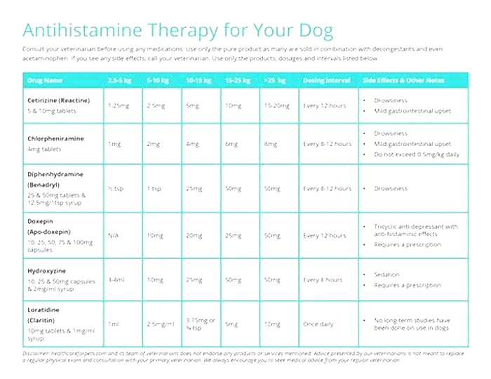 What is the best antihistamine for a dog?