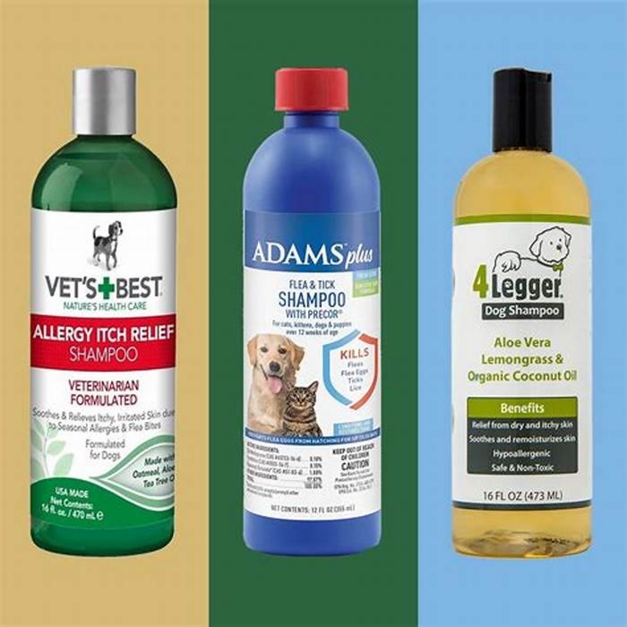 What is the best shampoo for itchy dogs?