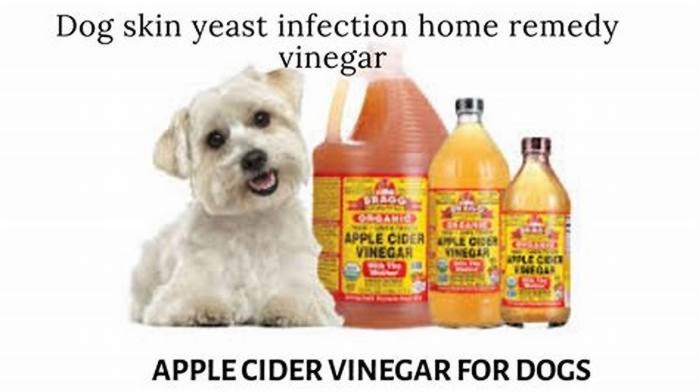 What kills yeast on dogs skin